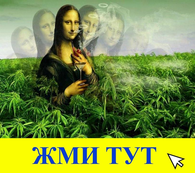 Купить наркотики в Вытегре